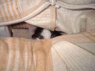 [What's he doing in there?]