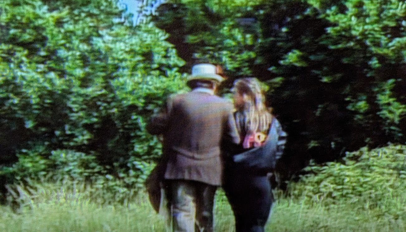 The Doctor and Ace walking towards some shrubs, from the end of Survival, ending the classic series of Doctor Who