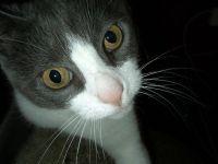 [Haru looking forlorn]